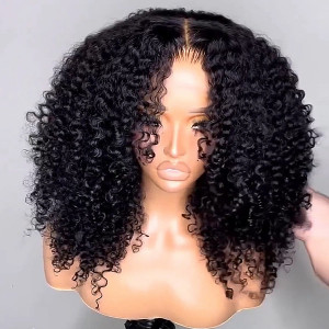10 wigs 13X6 TRANSPARENT LACE WIG normal shipping company (fay12)